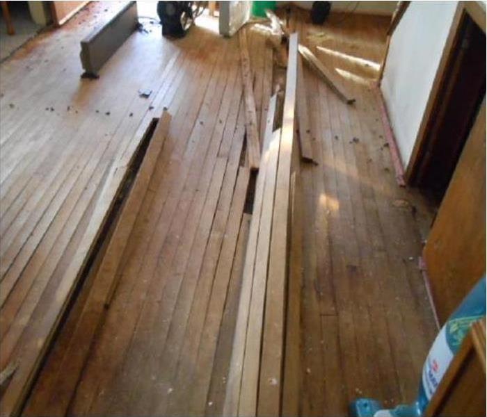 pine floorboards lifted from the floor