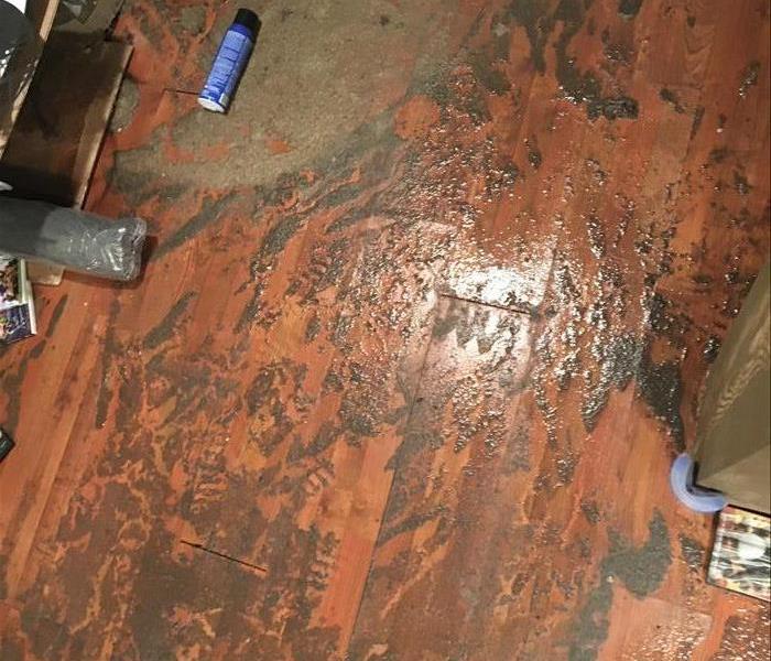 sludge, sewage on a hardwood floor