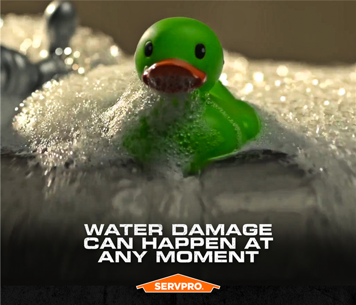 servpro ducky in bathtub, water damage at any time